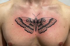 Butterfly Tattoo